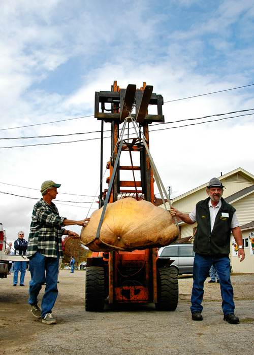 Ladysmith Octoberfest 2009 - Giant Pumpkin Contestant - click for previous entry