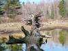 Dead Tree at Luskville Falls 2