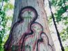 Mud Lake Woodsmen