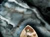 Dammed Ice