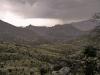 Grasslands of the Santa Catalina Mountains