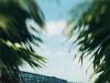Chillin in the Keys