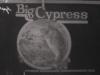 Big Cypress