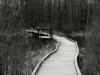 Upper Canada Boardwalk