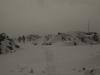 Winter Wasteland