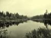 The Creek