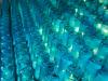 Grotto Blue