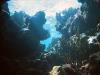 Coral Reefs - Jibacoa, Cuba