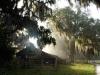 Paynes Prairie Preserve State Park, Florida