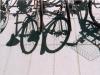 bikes