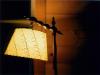 Camp Lamp