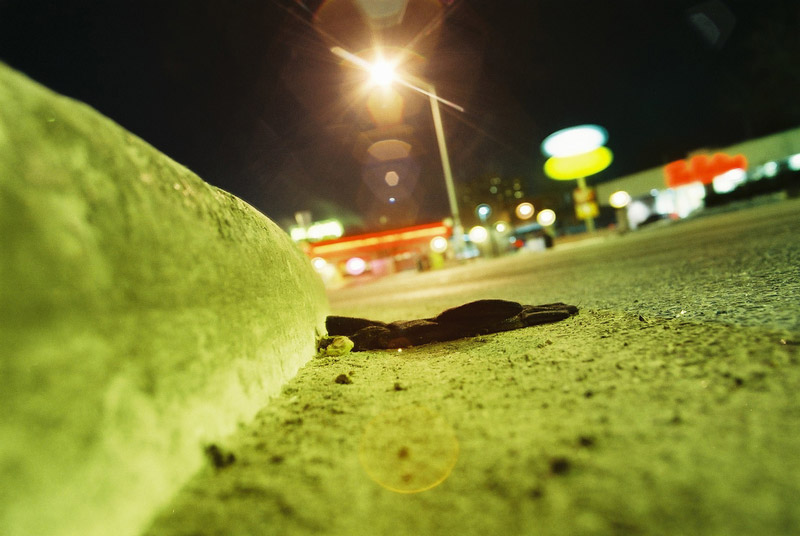 FOUND: Glove - Montreal Road and Vanier Parkway, March 2006