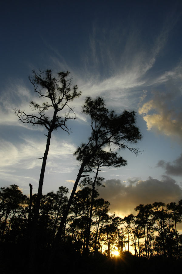 Big Pine Key, FL