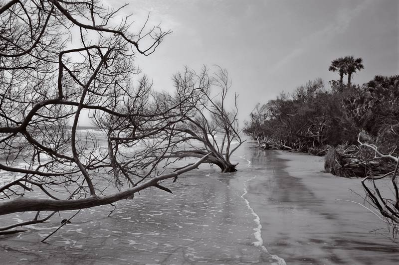 Boneyard Beach