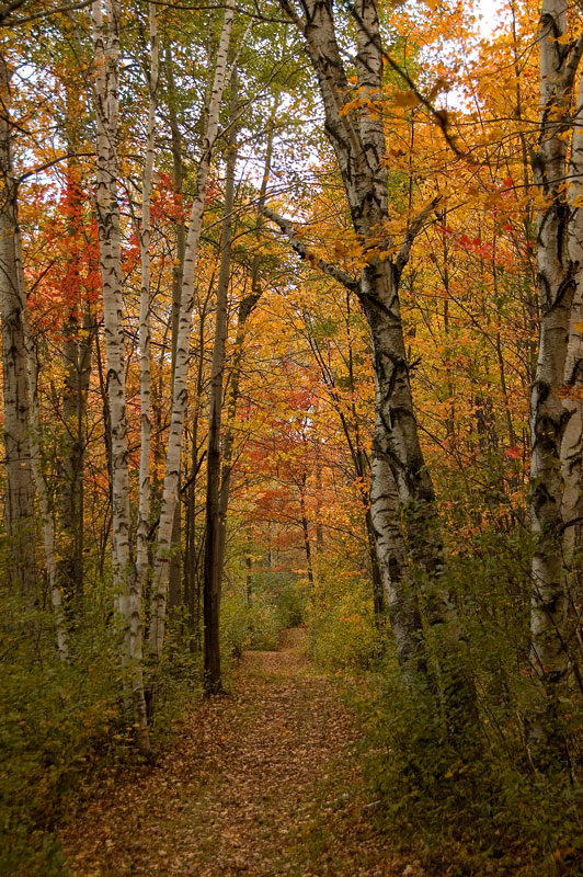 Thanksgiving Stroll Along Mer Blue Trails