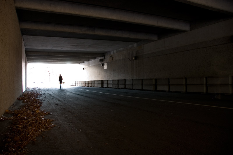 Tunnel Walker