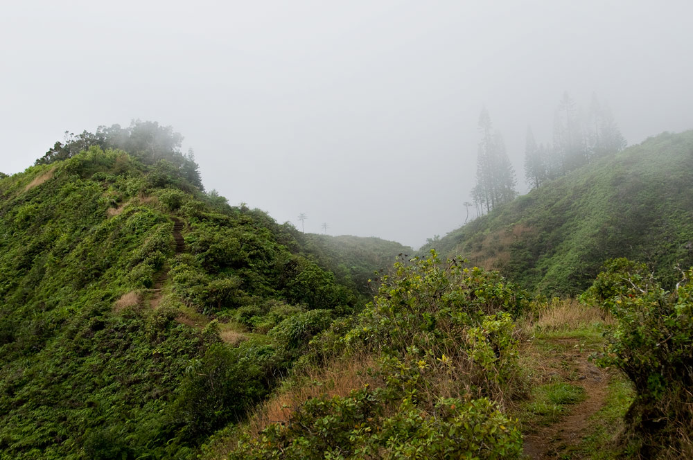 Weihu Ridge Trail