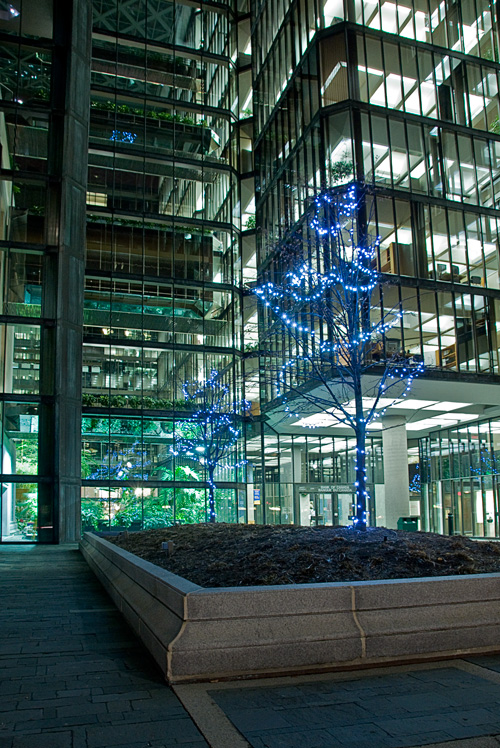 Seasonal Lighting at Bank of Canada, Ottawa