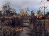 Ottawa/Rockcliffe Pathway